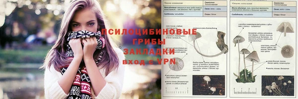 стафф Белоозёрский