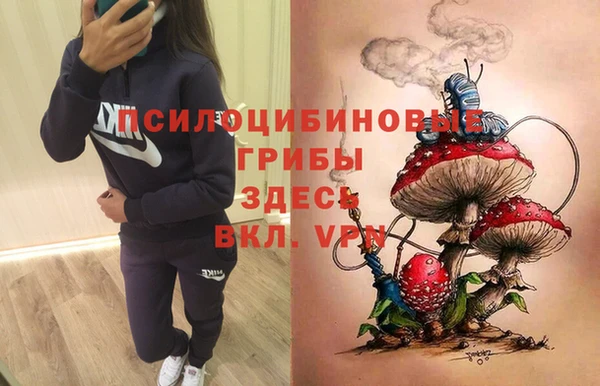 стафф Белоозёрский