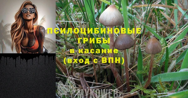 бутират Белокуриха