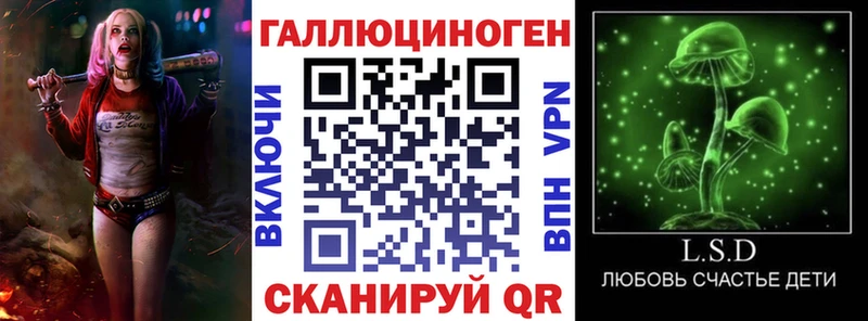 Псилоцибиновые грибы Psilocybine cubensis  Берёзовка 
